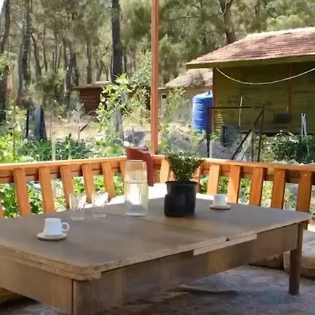 Vila Ilyas Apart Olympos