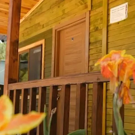 Ilyas Apart Villa Olympos